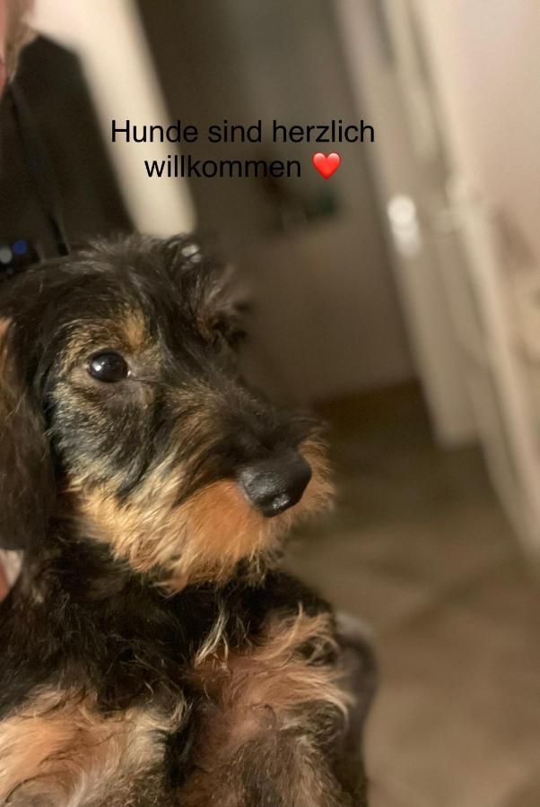 Apartment Exclusives Im Herzen Von *